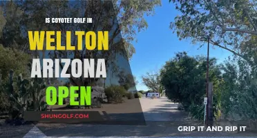 Is Coyote Golf Course in Wellton, Arizona Open for Play?