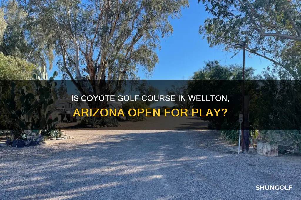 is coyotet golf in wellton arizona open