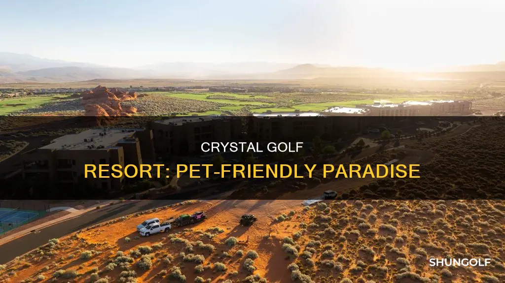 is crystal golf resort pet friendly