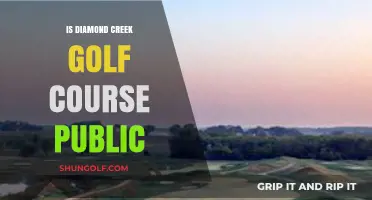Is Diamond Creek Golf Course Public? Exploring Access and Membership Details