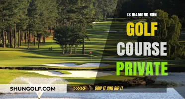 Is Diamond Run Golf Course Private? Exploring Membership and Access Details