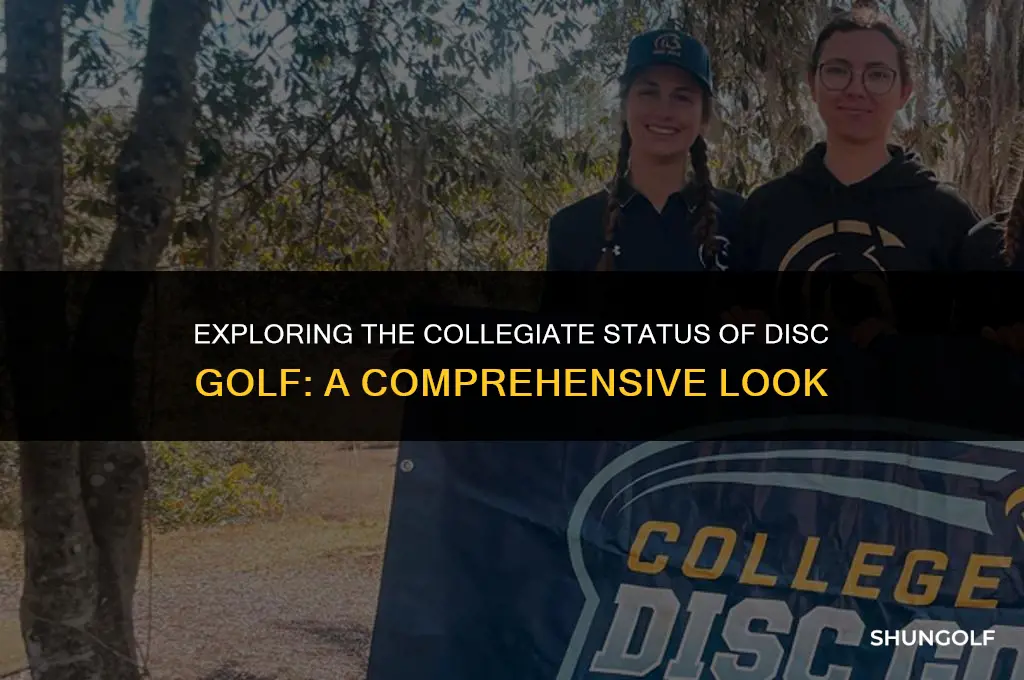 is disc golf a college sport