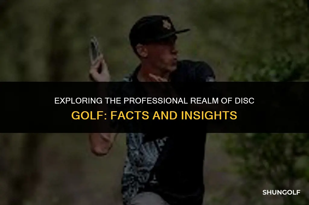 is disc golf a professional sport