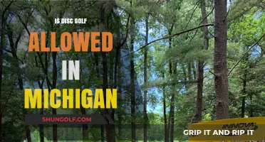 Exploring Michigan's Stance on Disc Golf: A Comprehensive Guide