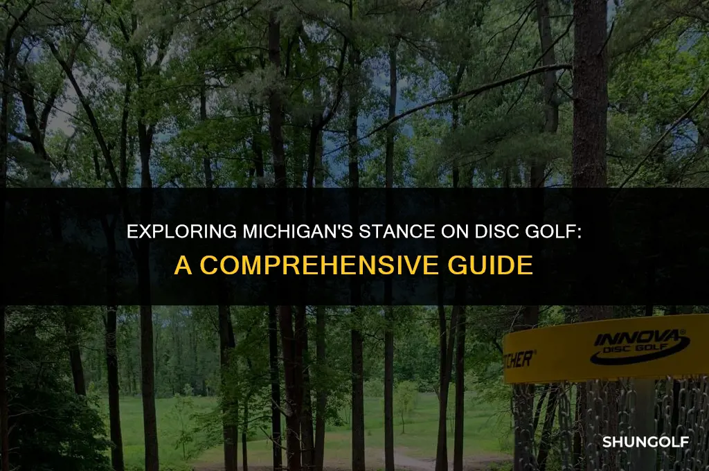is disc golf allowed in michigan