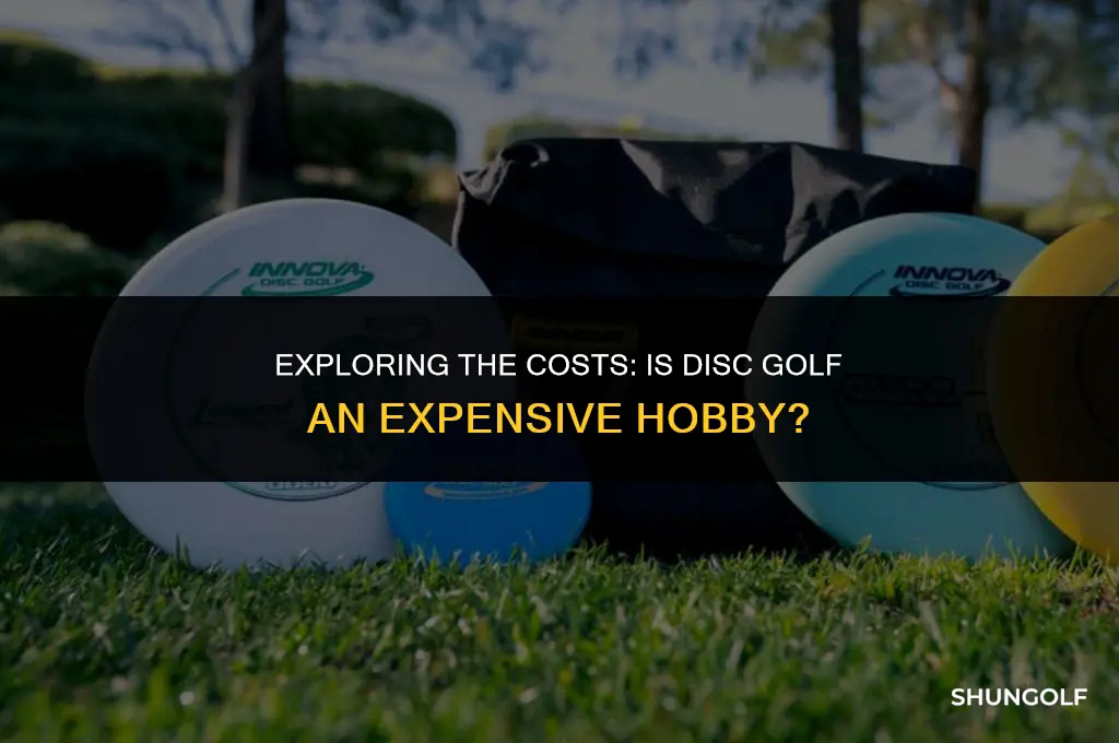 is disc golf expensive