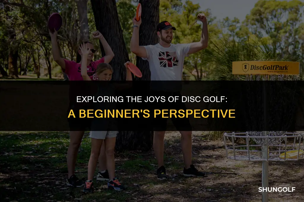 is disc golf fun