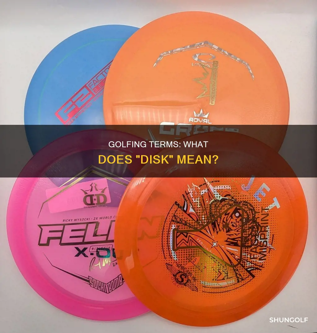 is disk a golf term