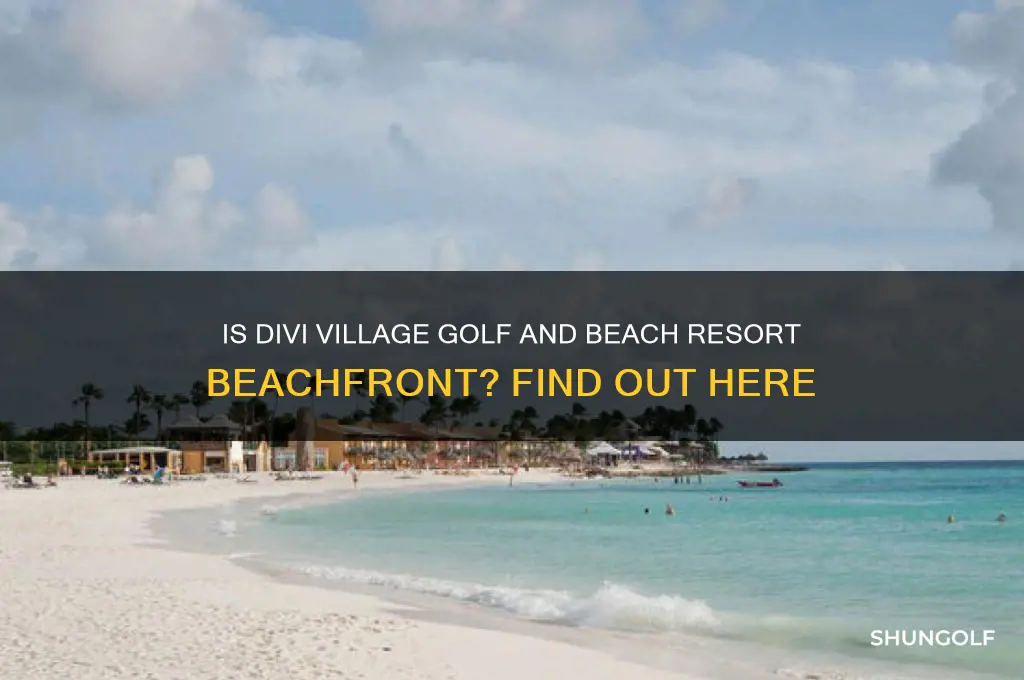 is divi village golf and beach resort on the beach