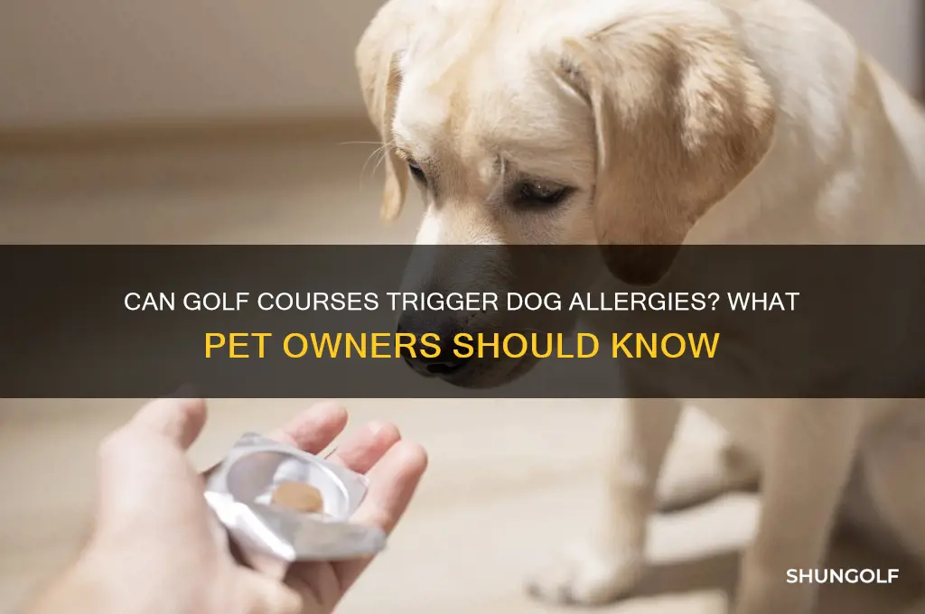 is dog allergic to golf course