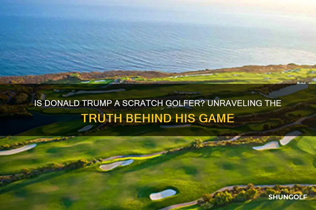 is donald trump a scratch golfer