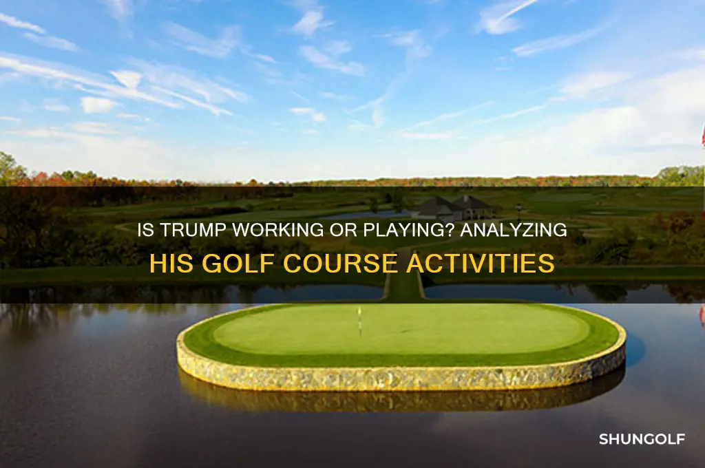 is donald trump work while he