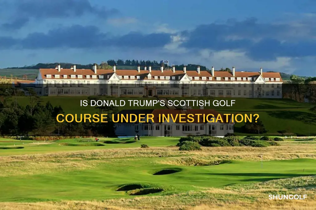 is donald trump