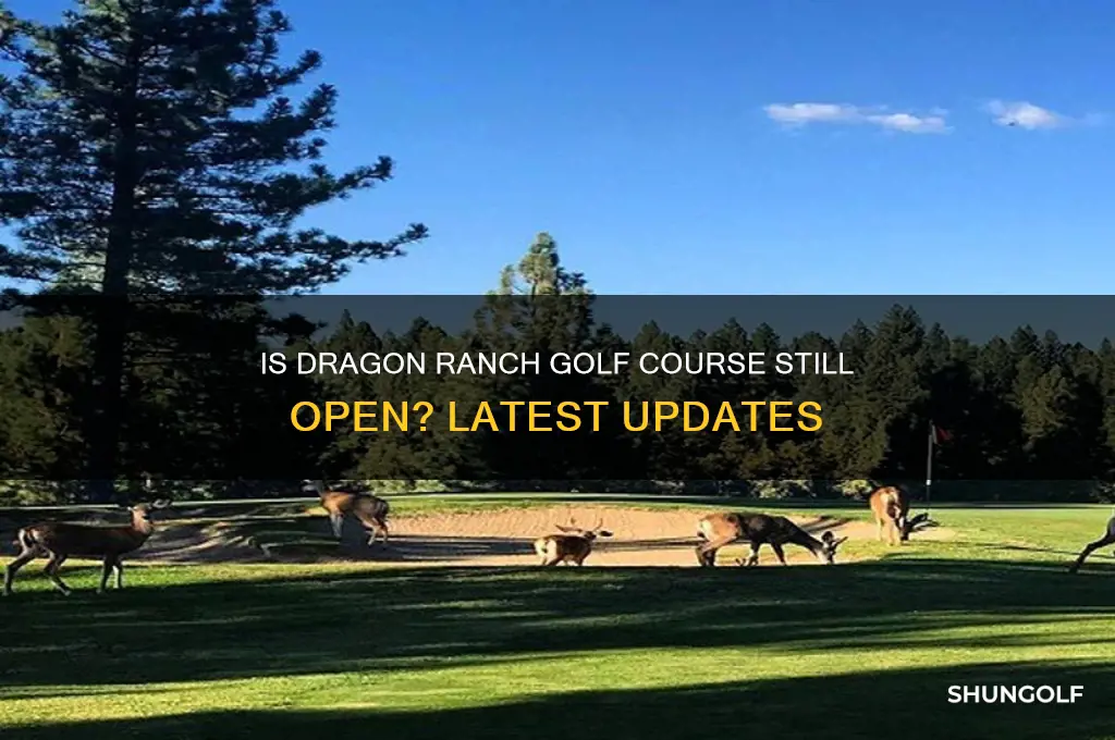 is dragon ranch golf course still open