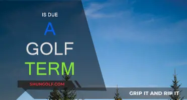 Golf Lingo: Understanding the Term "Due