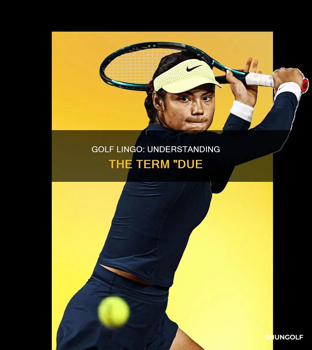 is due a golf term