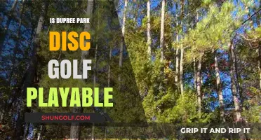 Exploring Dupree Park: A Disc Golf Enthusiast's Guide to Playability