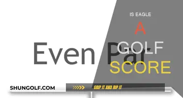 Golfing Glory: Eagle Scores and Their Significance