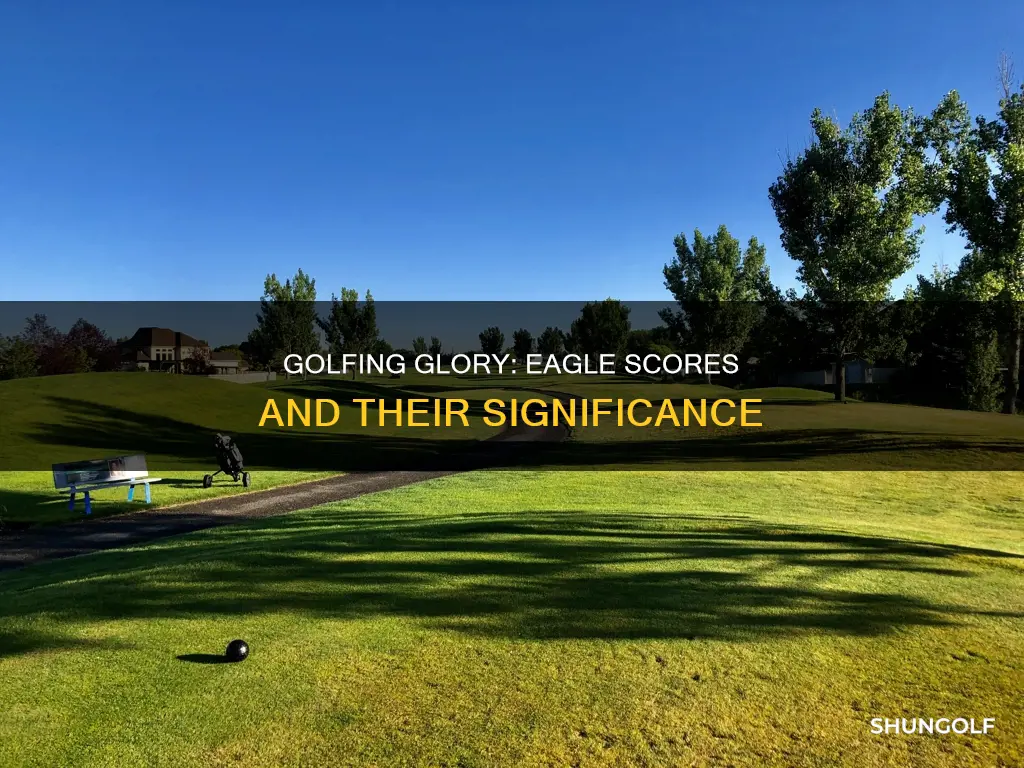 is eagle a golf score