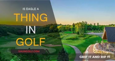 Golf Eagle: Is It Possible?