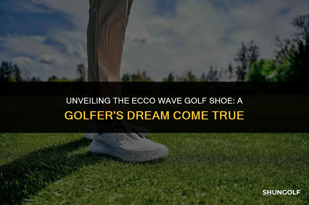 is ecco wave golf shoe