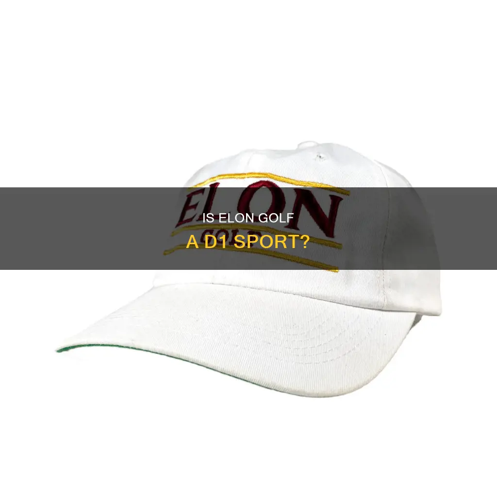 is elon golf d1