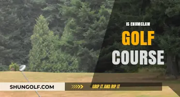 Exploring Enumclaw Golf Course: Features, Reviews, and Local Insights