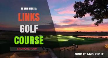 Is Erin Hills a Links Course? Exploring Its Design and Characteristics