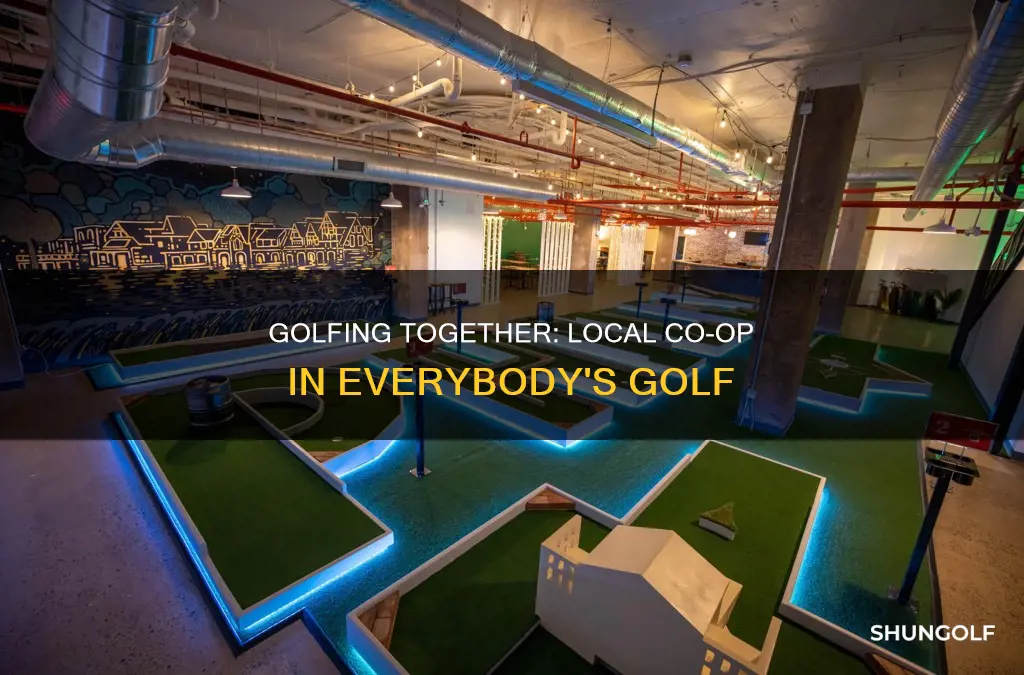 is everybody golf local co-op