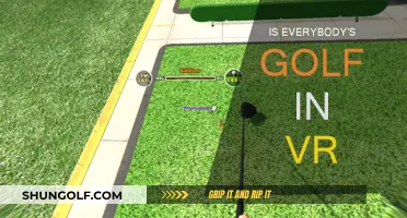 VR Golf: Everybody's Golf Course?