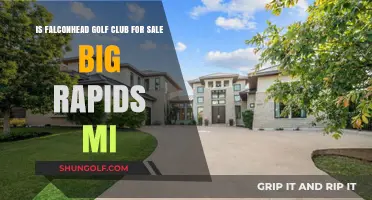Falconhead Golf Club for Sale in Big Rapids, MI: What's Happening?