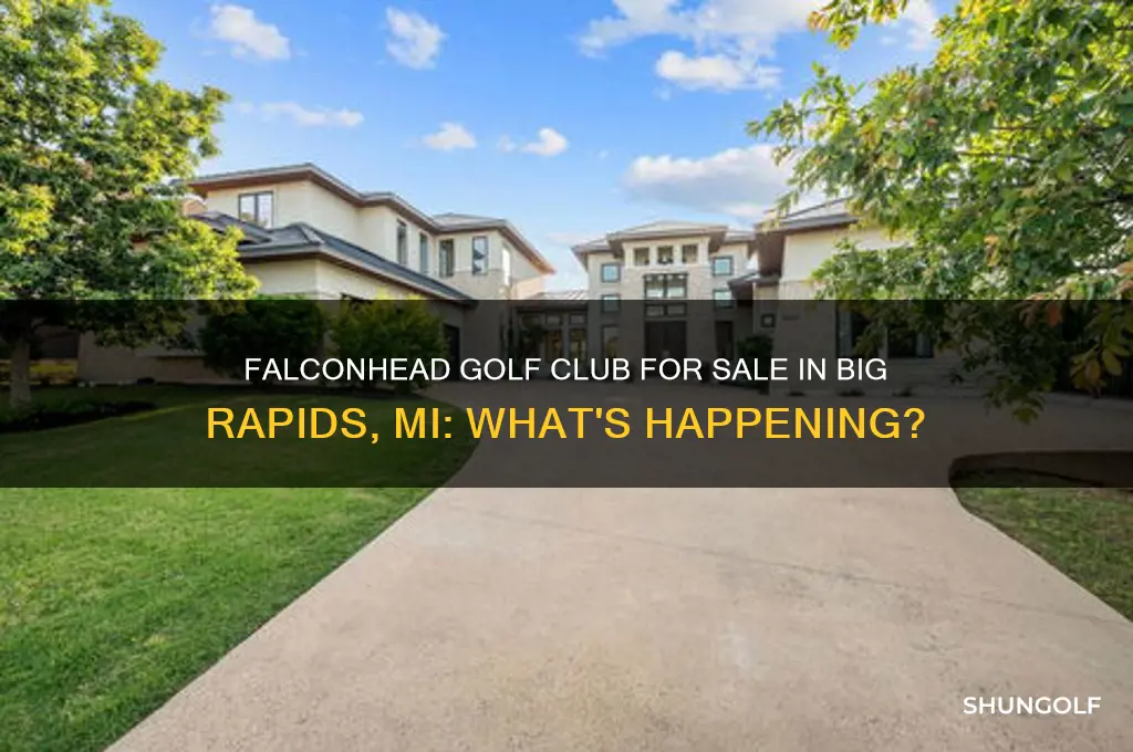 is falconhead golf club for sale big rapids mi