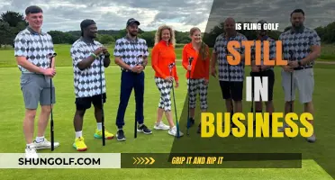 Fling Golf: Still in Business or Gone for Good?