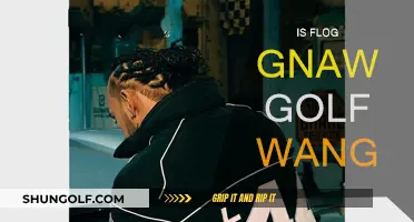 Golf Wang and Flog Gnaw: A Cultural Revolution