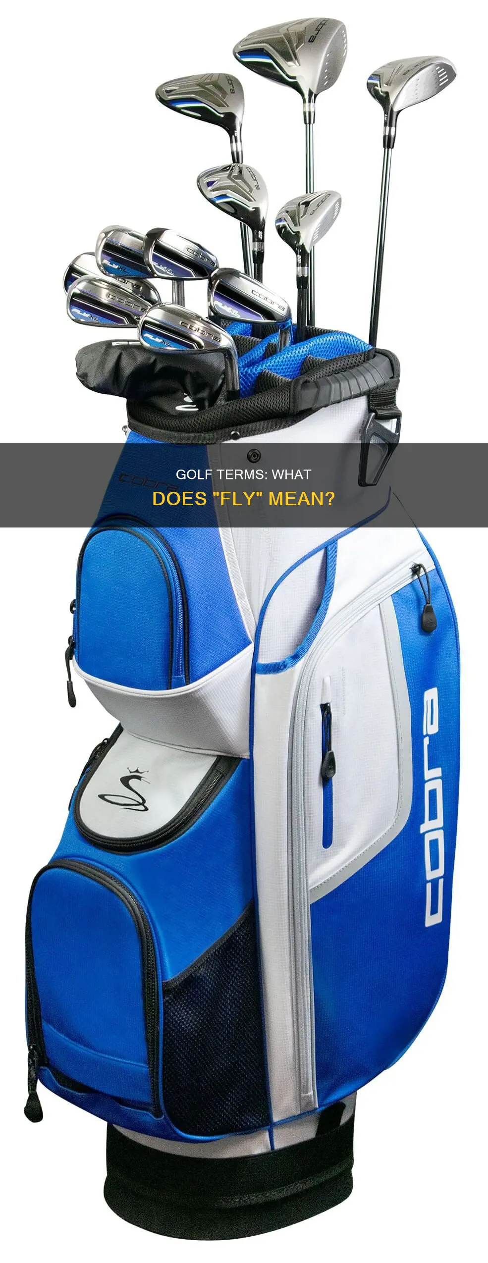 is fly a golf term