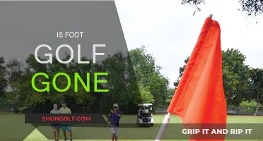 Foot Golf: A Sport Gone Too Soon?