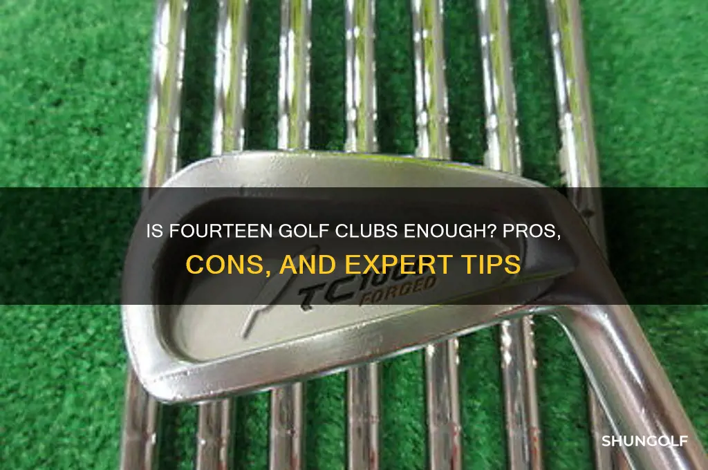 is fourteen golf clubs good