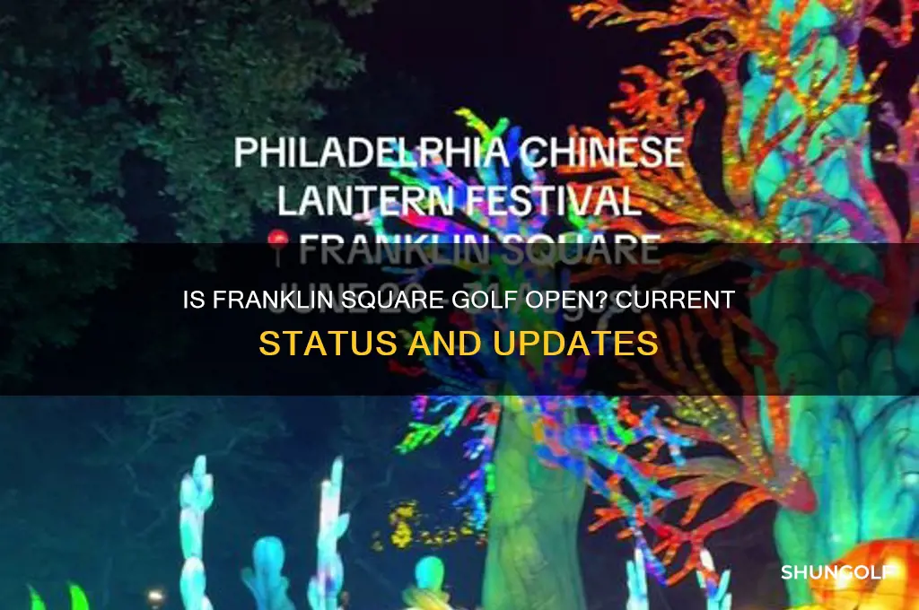 is franklin square golf open