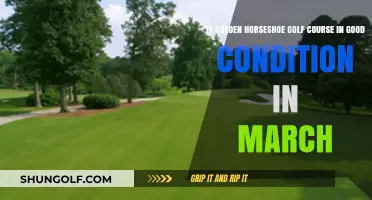 Golden Horseshoe Golf Course Conditions: March 2023 Review and Insights
