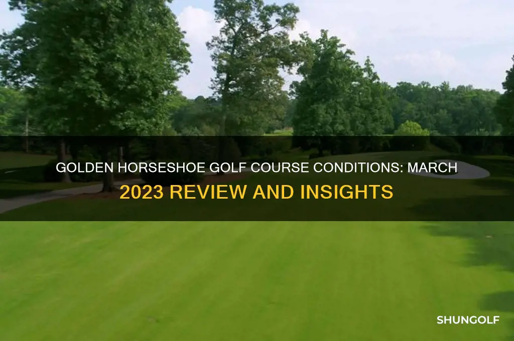 is golden horseshoe golf course in good condition in march
