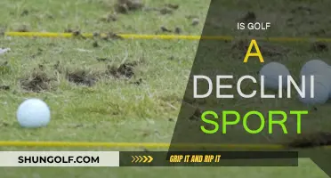 Golf's Future: Is the Sport in Danger?