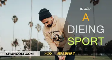 Golf's Future: Is the Sport Dying?