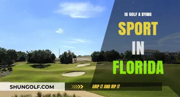 Is Golf Losing Its Swing in Florida's Changing Sports Landscape?