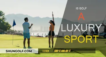 Golf: An Expensive Luxury or an Accessible Pastime?