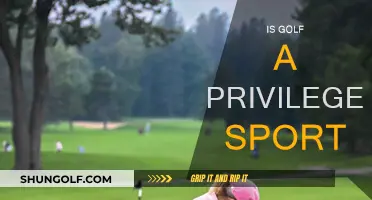 Golf: An Expensive Privilege or an Accessible Sport?