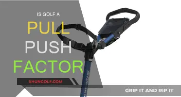 Golf's Pull-Push Factor: What's Driving the Sport's Appeal?