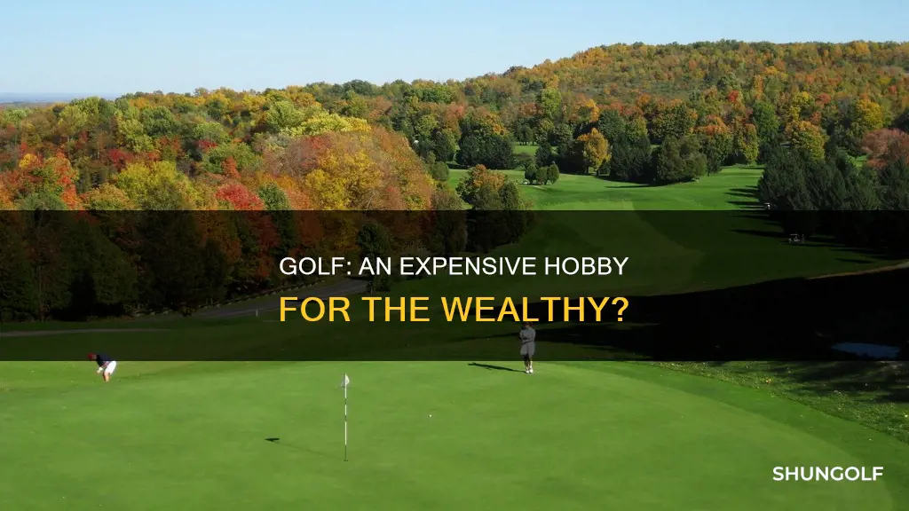 is golf a rich man sport