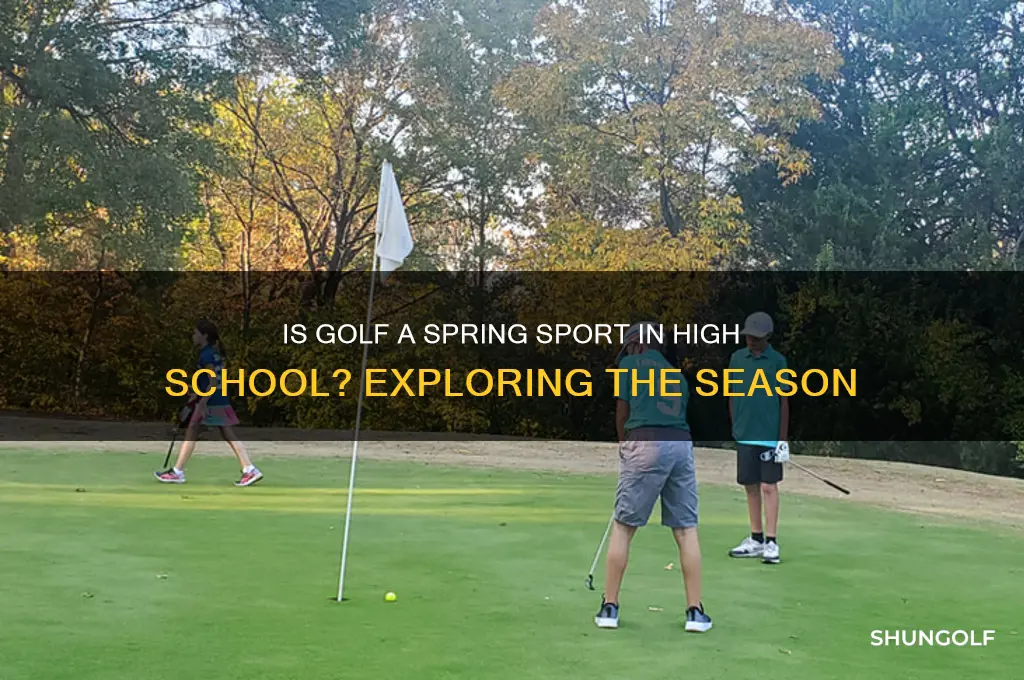 is golf a spring sport in high school