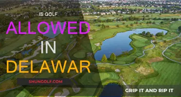 Golfing in Delaware: Is It Allowed?