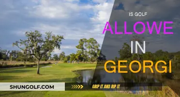 Golf in Georgia: Is It Allowed?